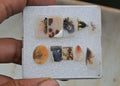 Natural Scenic Agate Gemstone Smooth Mix Shape Cabochon High Quality Loose Gemstone For Jewelry Making 10-17 MM Size 10 Pcs V3738