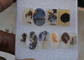 Natural Scenic Agate Gemstone Smooth Mix Shape Cabochon High Quality Loose Gemstone For Jewelry Making 14-17 MM Size 10 Pcs V3739