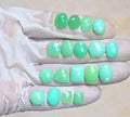 Natural Chrysoprase Gemstone Rose Cut Mix Shape Cabochon Beautiful Amazing & High Quality Loose Gemstones For Jewelry Making 10-14 MM Size 18 Pcs V3995