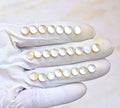 Natural Mother Of Pearl Gemstone Rose Cut Round Shape Cabochon High Quality Loose Gemstones For Jewelry Making 7 MM Size 24 Pcs V4040