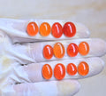 Natural Carnelian Gemstone Smooth Oval Shape Cabochon High Quality Loose Gemstones For Jewelry Making 10-14 MM Size 12 Pcs V4066