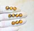 Natural Tiger Eye Gemstone Smooth Round Shape Cabochon Shape High Quality Loose Gemstones For Jewelry Making 9 MM Size 10 Pcs V4124