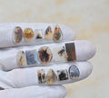 Natural Dendrite Agate Gemstone Smooth Mix Shape Cabochon High Quality Loose Gemstones For Jewelry Making 8-15 MM Size 14 Pcs V4135