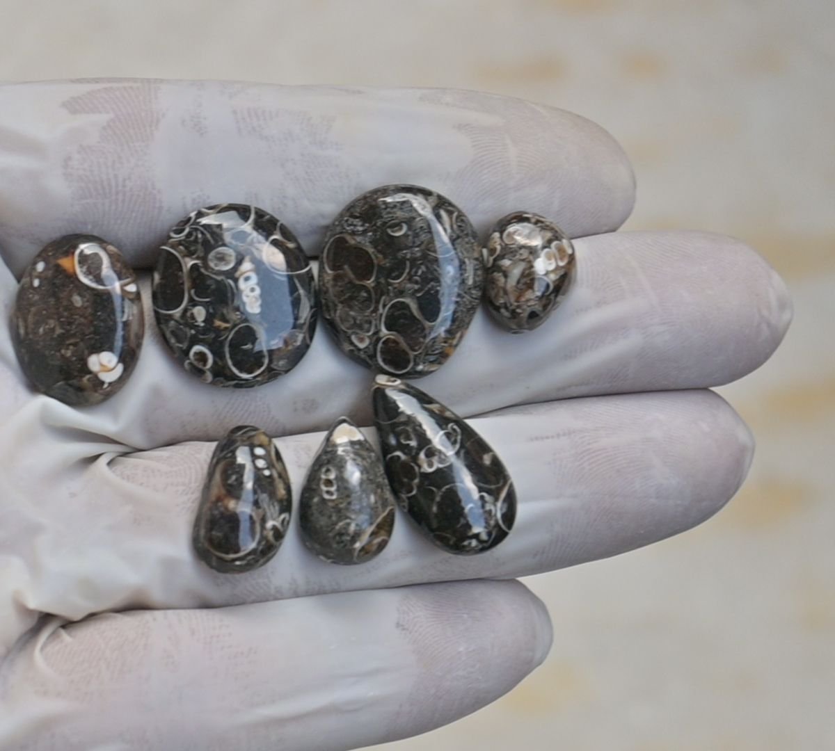 Natural Turritella Agate Gemstone Smooth Mix Shape Cabochon High Quality Loose Gemstones For Jewelry Making 13-22 MM Size 7 Pcs V4151