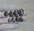 Natural Turritella Agate Gemstone Smooth Mix Shape Cabochon High Quality Loose Gemstones For Jewelry Making 11-21 MM Size 8 Pcs V4152