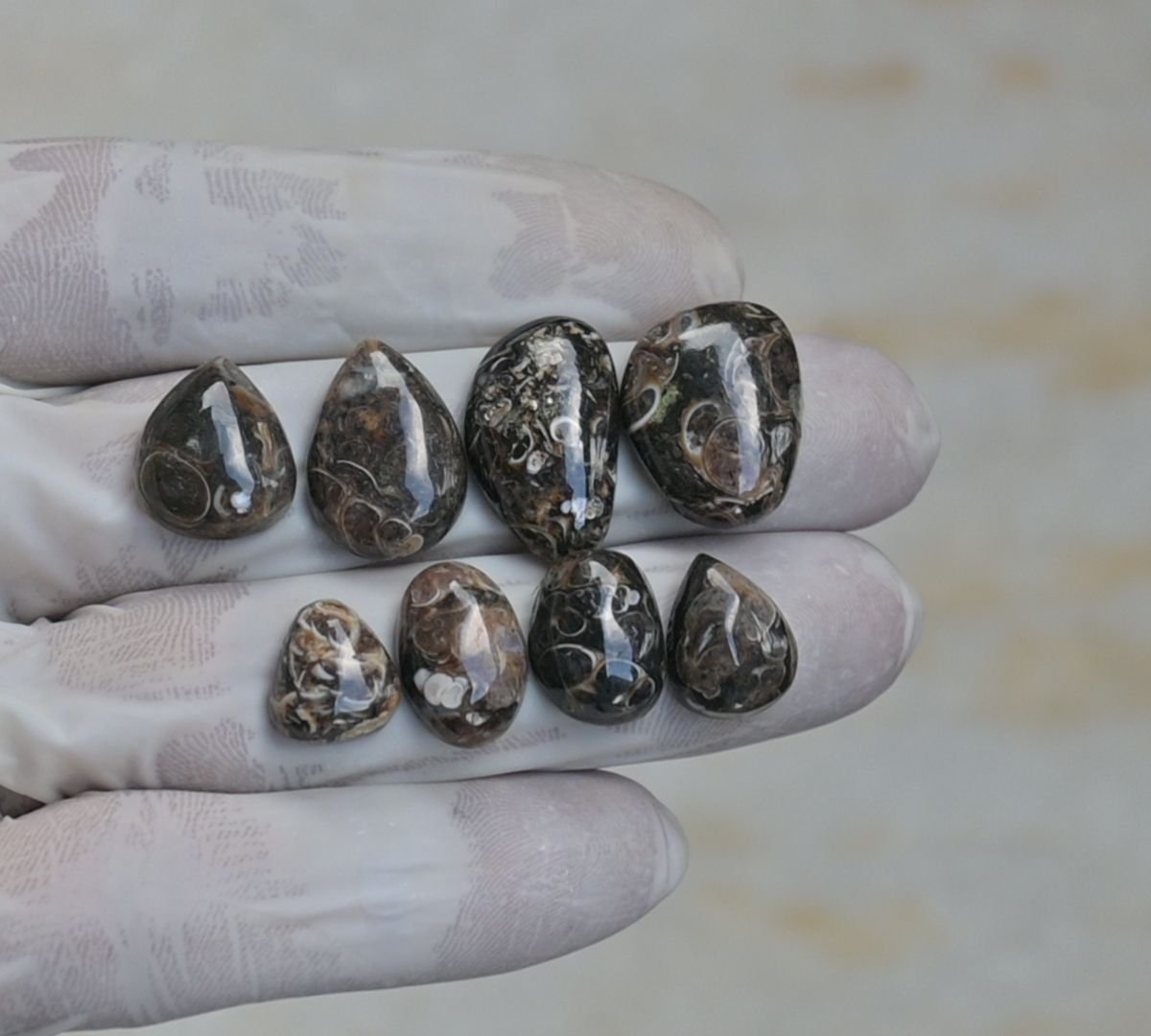 Natural Turritella Agate Gemstone Smooth Mix Shape Cabochon High Quality Loose Gemstones For Jewelry Making 11-21 MM Size 8 Pcs V4152