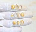 Natural Golden Rutile Gemstone Smooth Mix Shape Cabochon High Quality Loose Gemstones For Jewelry Making 8-12 MM Size 10 Pcs V4166