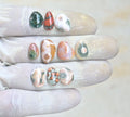 Natural Ocean Jasper Gemstone Smooth Fancy Shape Cabochon High Quality Loose Gemstones For Jewelry Making 11-16 MM Size 10 Pcs V4171