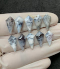 Natural Dendrite Opal Gemstone Step Cut Fancy Shape Cabochon High Quality Loose Gemstones For Jewelry Making 16x8 MM Size 10 Pcs V2544