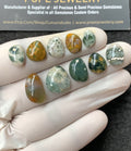 Natural Ocean Jasper Gemstone Smooth Fancy Shape Cabochon High Quality Loose Gemstones For Jewelry Making 10-16 MM Size 10 Pcs V2718