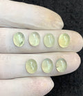 Natural Prehnite Gemstone Smooth Oval Shape Cabochon Amazing & High Quality Loose Gemstones For Jewelry Making 10x8 MM Size 7 Pcs V4594