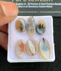 Natural Dendrite Agate Gemstone Smooth Oval Shape Cabochon High Quality Loose Gemstones For Jewelry Making 12-18 MM Size 6 Pcs V4720
