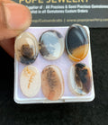 Natural Dendrite Agate Gemstone Smooth Oval Shape Cabochon High Quality Loose Gemstones For Jewelry Making 16-20 MM Size 6 Pcs V4724