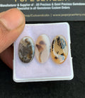 Natural Dendrite Agate Gemstone Smooth Oval Shape Cabochon High Quality Loose Gemstones For Jewelry Making 19-20 MM Size 3 Pcs V4729