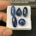 Natural Blue Sapphire Gemstone Blue Sapphire Smooth Mix Shape 12-18 MM 5 Pcs High Quality Wholesale gems SM23561