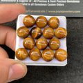 Natural Tiger Eye Gemstone Smooth Round Shape Cabochon Tiger Eye High Quality Loose Gemstone 10 MM Size 14 Pc Jewelry Supply SM23461