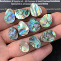 Amazing Natural Abalone Shell Pearl Smooth Fancy Shape Gemstone 12-16 MM 10 Pieces High Quality Wholesale gems Sm23573