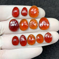 Natural Hessonite Garnet Gemstone Rose Cut Fancy Cabs High Quality Loose Gemstone Jewelry Making WholesaleGems 10-15 MM Size 12 Pcs SM24391