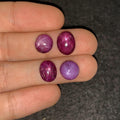 Natural Star Ruby Gemstone Smooth Fancy Shape High Quality Star Ruby Loose Gemstone Cabochon 10-12 MM 4 Pcs Jewelry Supply SM24188