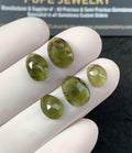 Natural Moldavite Gemstone Rose Cut Fancy Shape Cabochon Loose Gemstone For Jewelry Making Wholesalegems 8-12 MM Size 5 Pcs SM25160