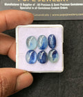 Natural Bicolor Kyanite Gemstone Smooth Oval Cabochon Loose Gemstone For Jewelry Making Wholesalegems 12-13 MM Size 6 Pcs SM25011