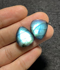 Natural Labradorite Gemstone Smooth Fancy Shape Cabochon Loose Gemstones For Jewelry Making Wholesalegems 20x17 MM Size 1 Pair SM25709