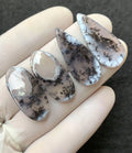 Natural Dendrite Opal Gemstone Smooth Mix Shape Cabochon Loose Gemstones For Jewelry Making Wholesalegems 25-30 MM Size 2 Pair SM25756