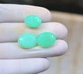 Natural Chrysoprase Gemstone Faceted Cut Oval High Quality Loose Gemstones For Jewelry Making Wholesalegems 14-16 MM Size 3 Pcs SM25921