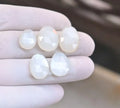 100% Natural White Moonstone Gemstone Rose Cut Fancy Cabochon Loose Gemstones For Jewelry Making Wholesalegems 12-16 MM Size 5 Pcs SM25885