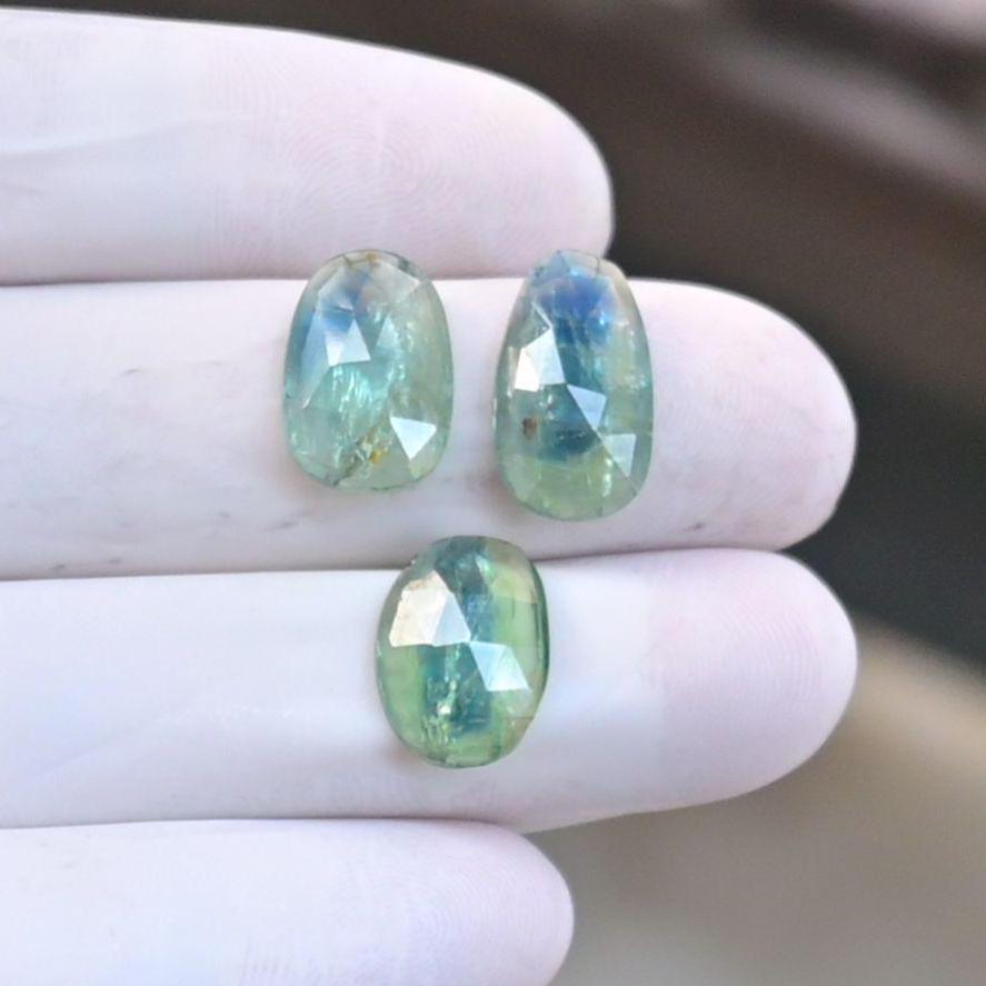 Natural Mint Kyanite Gemstone Rose Cut Mix Shape Cabochon Loose Gemstones For Jewelry Making Wholesalegems 13-15 MM Size 3 Pcs SM25883