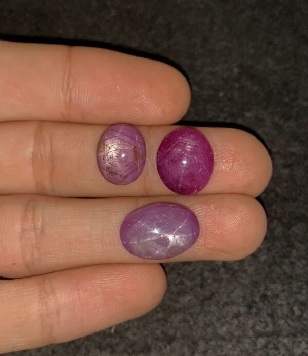 Natural Star Ruby Gemstone Cabochon Smooth Fancy Shape 13-16 MM 3 Pcs Star Ruby High Quality Gemstone Cabochon Wholesale gems SM24193