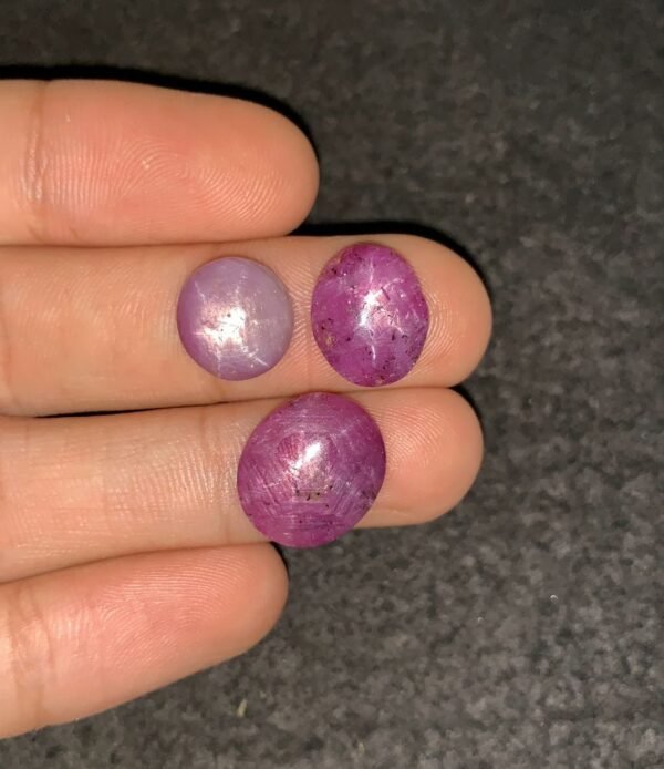 Natural Star Ruby Gemstone Cabochon Smooth Fancy Shape 12-15 MM 3 Pcs Star Ruby High Quality Gemstone Cabochon Wholesale gems SM24197
