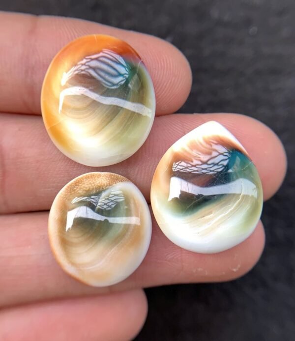 Natural Shiva Eye Gemstone Shiva Eye Smooth Mix Shape 18-21 MM 3 Pcs High Quality Cabochon Gemstone Wholesale gems  SM24226