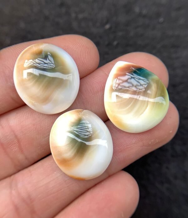Natural Shiva Eye Gemstone Shiva Eye Smooth Mix Shape 19-20 MM 3 Pcs High Quality Cabochon Gemstone Wholesale gems  SM24227 - Image 2