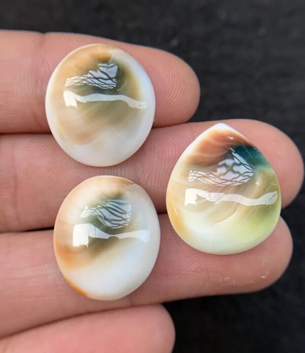Natural Shiva Eye Gemstone Shiva Eye Smooth Mix Shape 19-20 MM 3 Pcs High Quality Cabochon Gemstone Wholesale gems  SM24227
