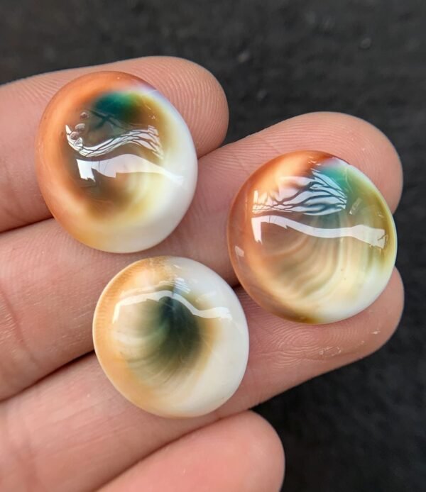 Natural Shiva Eye Gemstone Shiva Eye Smooth Mix Shape 19-20 MM 3 Pcs High Quality Cabochon Gemstone Wholesale gems  SM24228 - Image 2