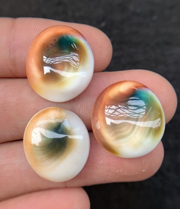 Natural Shiva Eye Gemstone Shiva Eye Smooth Mix Shape 19-20 MM 3 Pcs High Quality Cabochon Gemstone Wholesale gems  SM24228