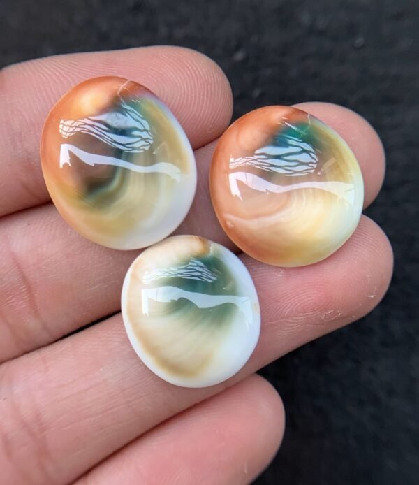 Natural Shiva Eye Gemstone Shiva Eye Smooth Mix Shape 18-20 MM 3 Pcs High Quality Cabochon Gemstone Wholesale gems  SM24229 - Image 2