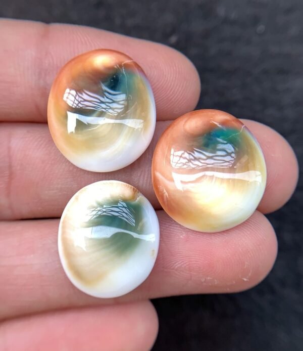 Natural Shiva Eye Gemstone Shiva Eye Smooth Mix Shape 18-20 MM 3 Pcs High Quality Cabochon Gemstone Wholesale gems  SM24229
