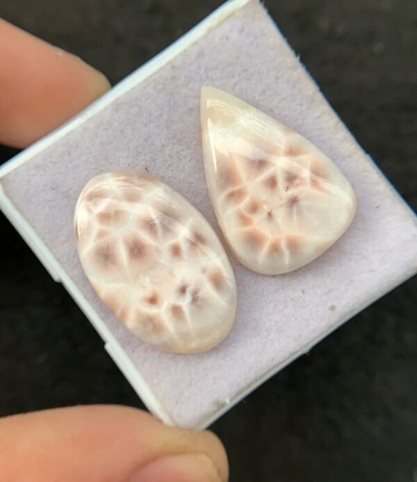 Natural Thomsonite Gemstone Smooth Mix Cabochon High Quality Thomsonite Gemstone Cabs Jewelry Making 25x16 MM Size 2 Pcs SM24233 - Image 2