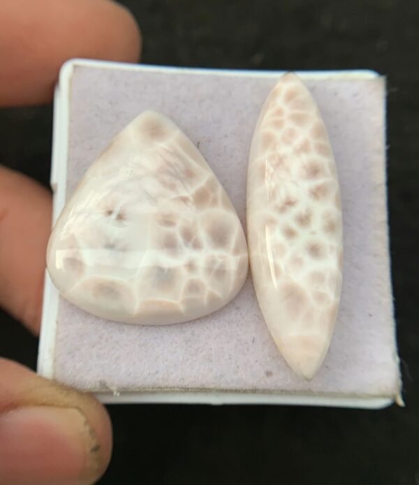 Natural Thomsonite Gemstone Smooth Mix Cabochon High Quality Thomsonite Gemstone Cabs Jewelry Making 26-36 MM Size 2 Pcs SM24234