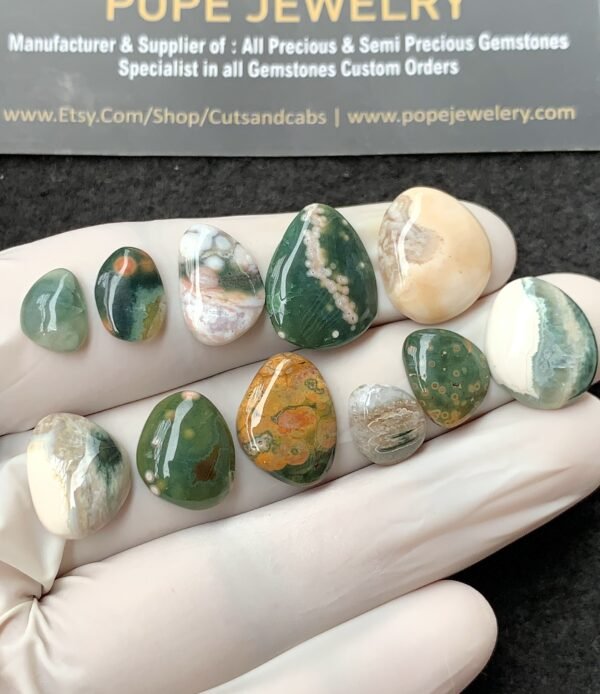 Natural Ocean Jasper Gemstone Smooth Fancy Shape Cabochon High Quality Loose Gemstones For Jewelry Making 10-18 MM Size 11 Pcs V2702