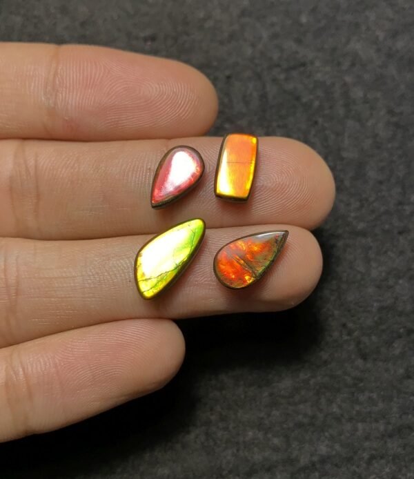 Natural Ammolite Doublet Gemstone Smooth Mix Shape Cabochon High Quality Loose Gemstones For Jewelry Making 11-15 MM Size 4 Pcs SM20616