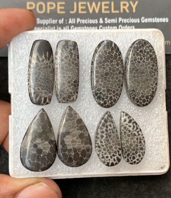 Natural Black Coral Gemstone Smooth Mix Shape Cabochon High Quality Loose Gemstones For Jewelry Making 21-27 MM Size 4 Pair V3162