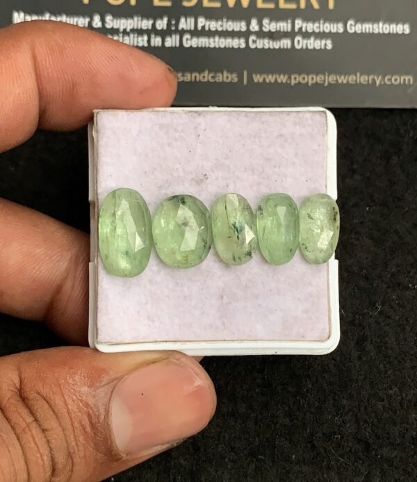 Natural Mint Kyanite Gemstone Rose Cut Mix Shape Cabochon High Quality Loose Gemstones For Jewelry Making 12-14 MM Size 5 Pcs V3256