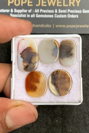Natural Scenic Agate Gemstone Smooth Mix Shape Cabochon High Quality Loose Gemstones For Jewelry Making 14-19 MM Size 5 Pcs V3358