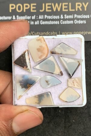 Natural Scenic Agate Gemstone Smooth Fancy Shape Cabochon High Quality Loose Gemstones For Jewelry Making 8-18 MM Size 10 Pcs V3365