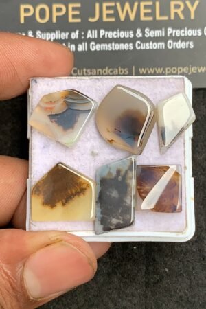 Natural Scenic Agate Gemstone Smooth Fancy Shape Cabochon High Quality Loose Gemstones For Jewelry Making 11-21 MM Size 6 Pcs V3367