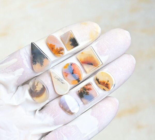 Natural Dendrite Quartz Gemstone Smooth Mix Shape Cabochon High Quality Loose Gemstones For Jewelry Making 11-20 MM Size 10 Pc V3963 - Image 2