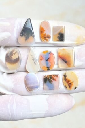 Natural Dendrite Quartz Gemstone Smooth Mix Shape Cabochon High Quality Loose Gemstones For Jewelry Making 11-20 MM Size 10 Pc V3963